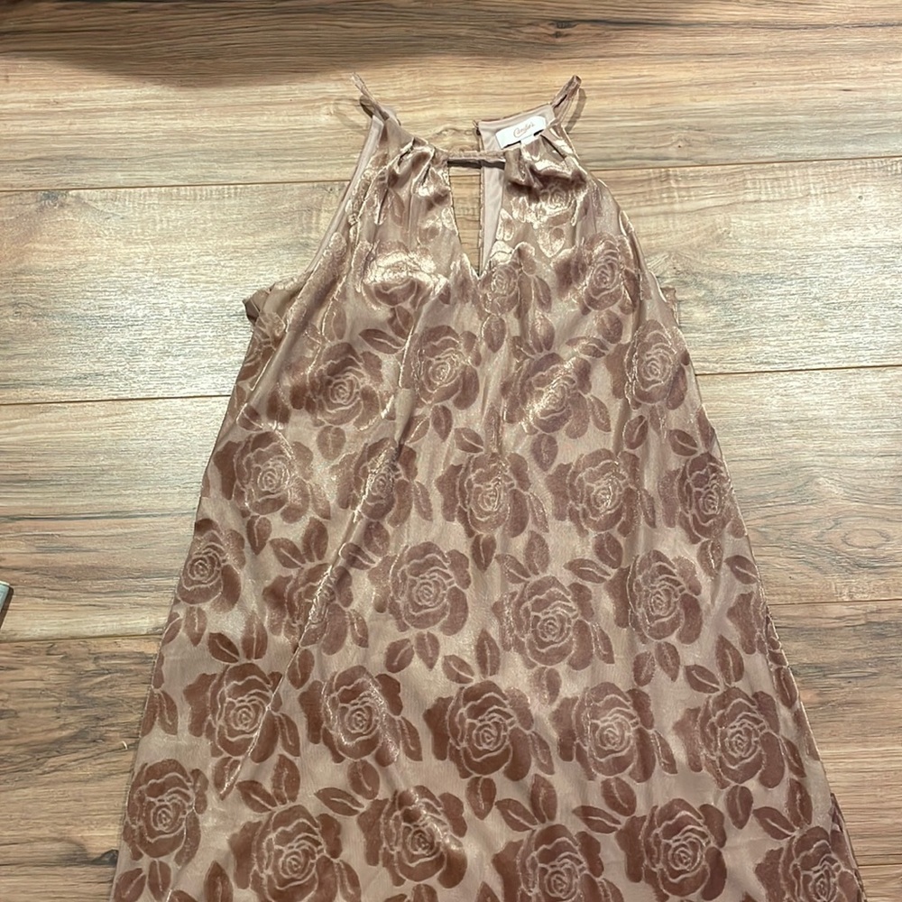 Velvet Rose Dress